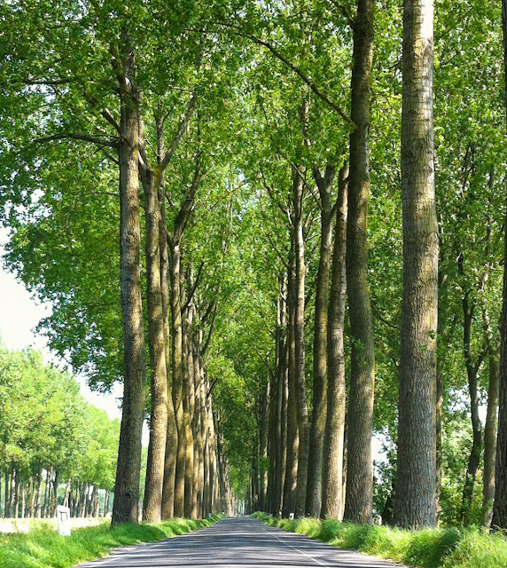 1000 Kilometer Radrouten in Flandern, Niederlande