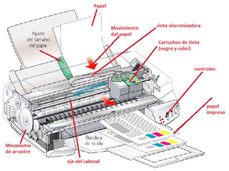 Cómo funciona una impresora inyección de tinta? - Webcartucho