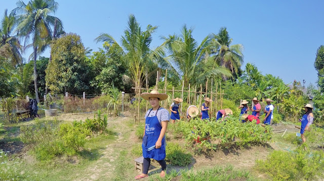 Thai Secret Cooking Class Photos & Video. March 7-2017. Pa Phai, San Sai District, Chiang Mai, Thailand.