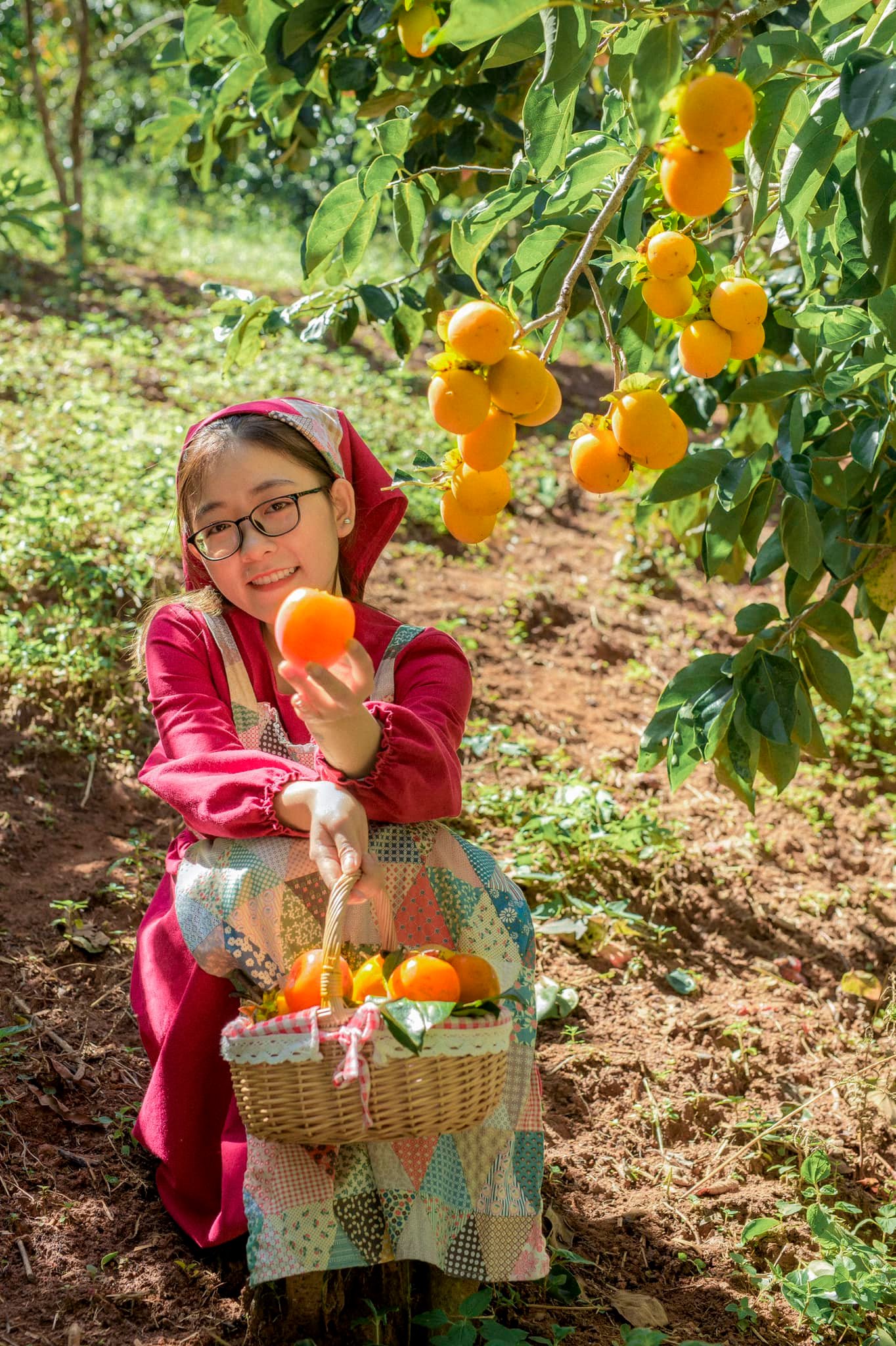 Vườn hồng Đà Lạt