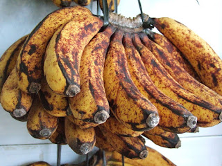 Pisang Barangan Madani Farm