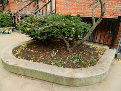 Garden District Toronto Fall Cleanup After by Paul Jung Gardening Services--a Toronto Gardening Services Company Garden District Toronto Fall Cleanup After by Paul Jung Gardening Services--a Toronto Gardening Services Company