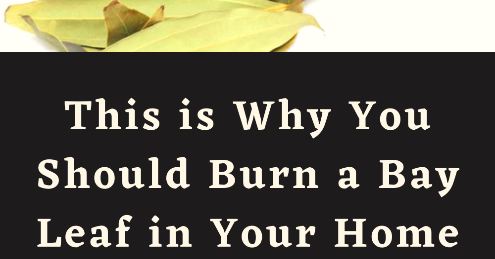This is Why You Should Burn a Bay Leaf in Your Home