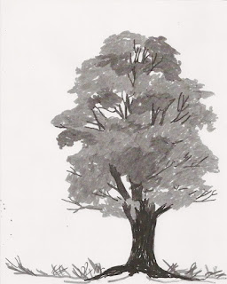 tree sketch in greyscale