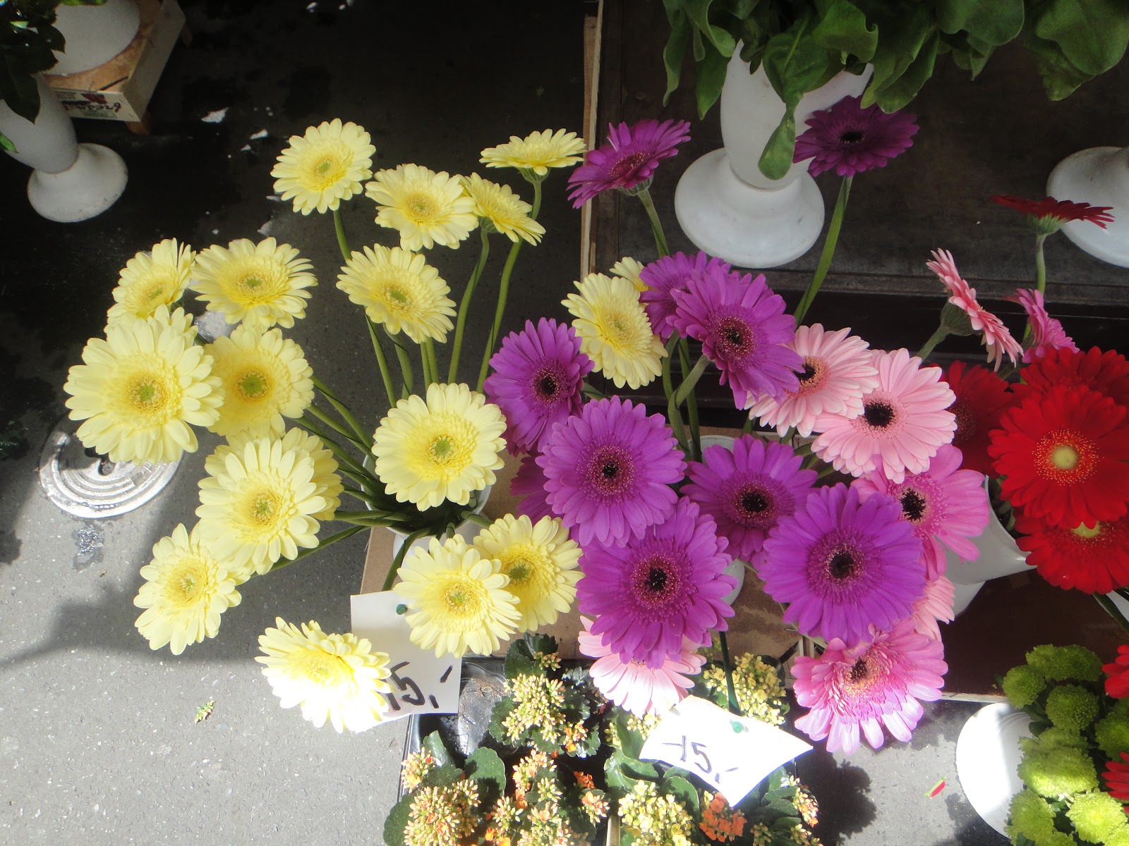 It All Appeals to Me FLOWERS in Europe