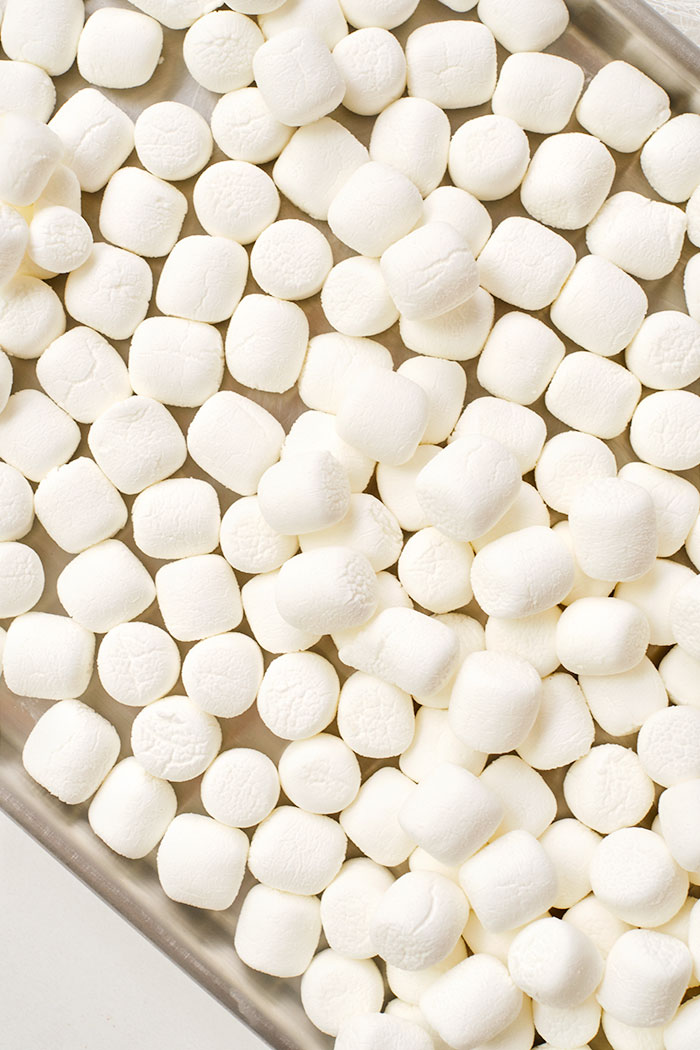 How to Make Dehydrated Marshmallows (And How to Freeze Dry Them Too