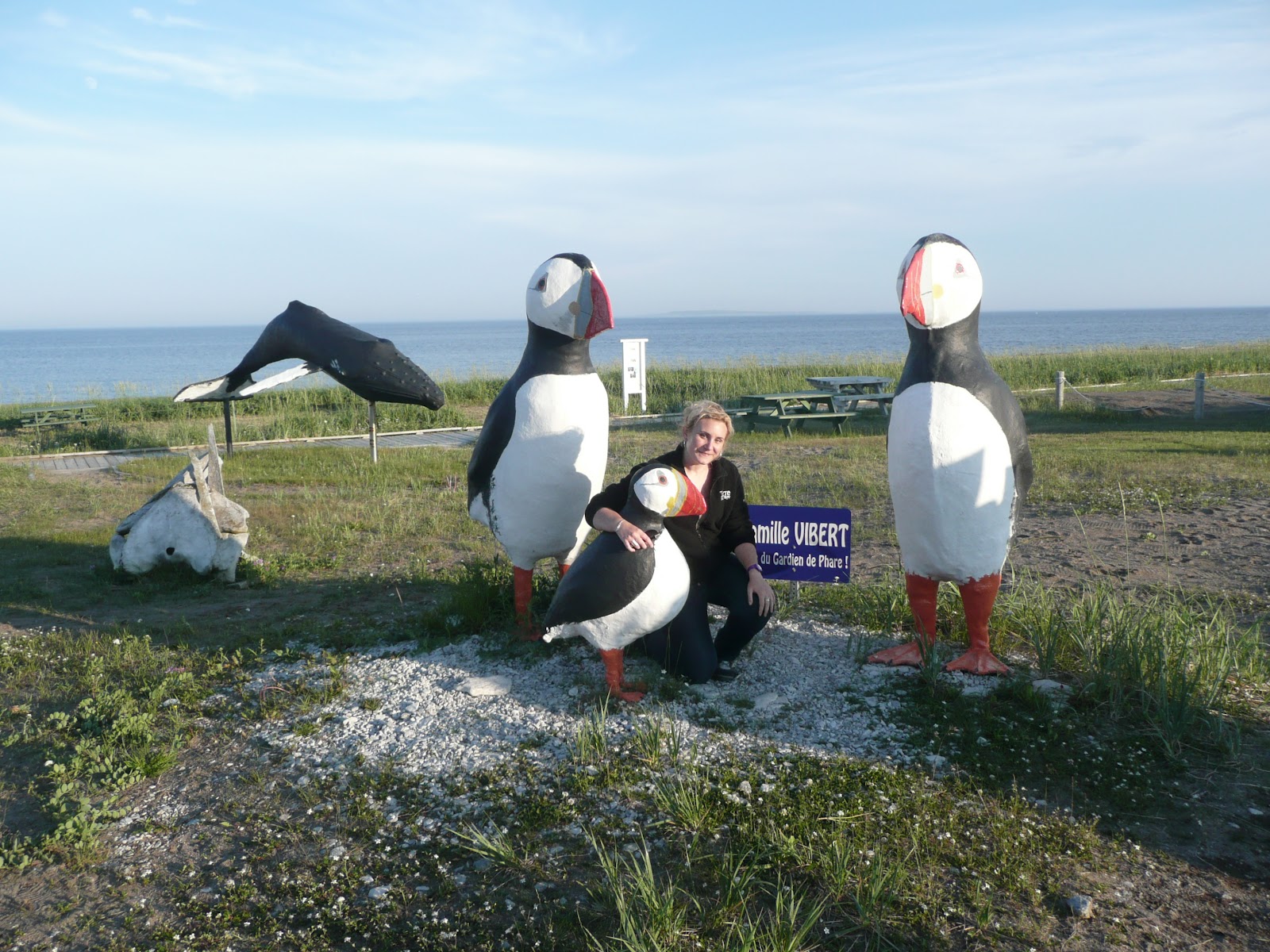 Coco en PVT Enfin Arrivée à LonguePointe de Mingan