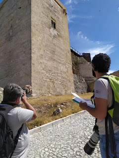 Fotografiando aves en el Torreón Fotografiando aves en el Torreón