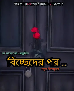 বিচ্ছেদের পর - Heart Touching Love Story In Bengali - Bangla Sad Story