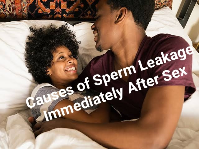 Sperm Sex