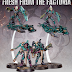 Available from Games Workshop Today