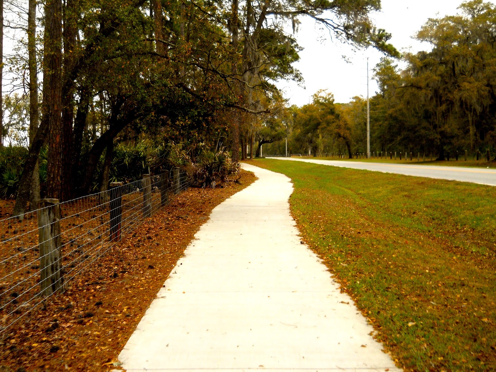 Chuck's Adventures St. Simons Island biking