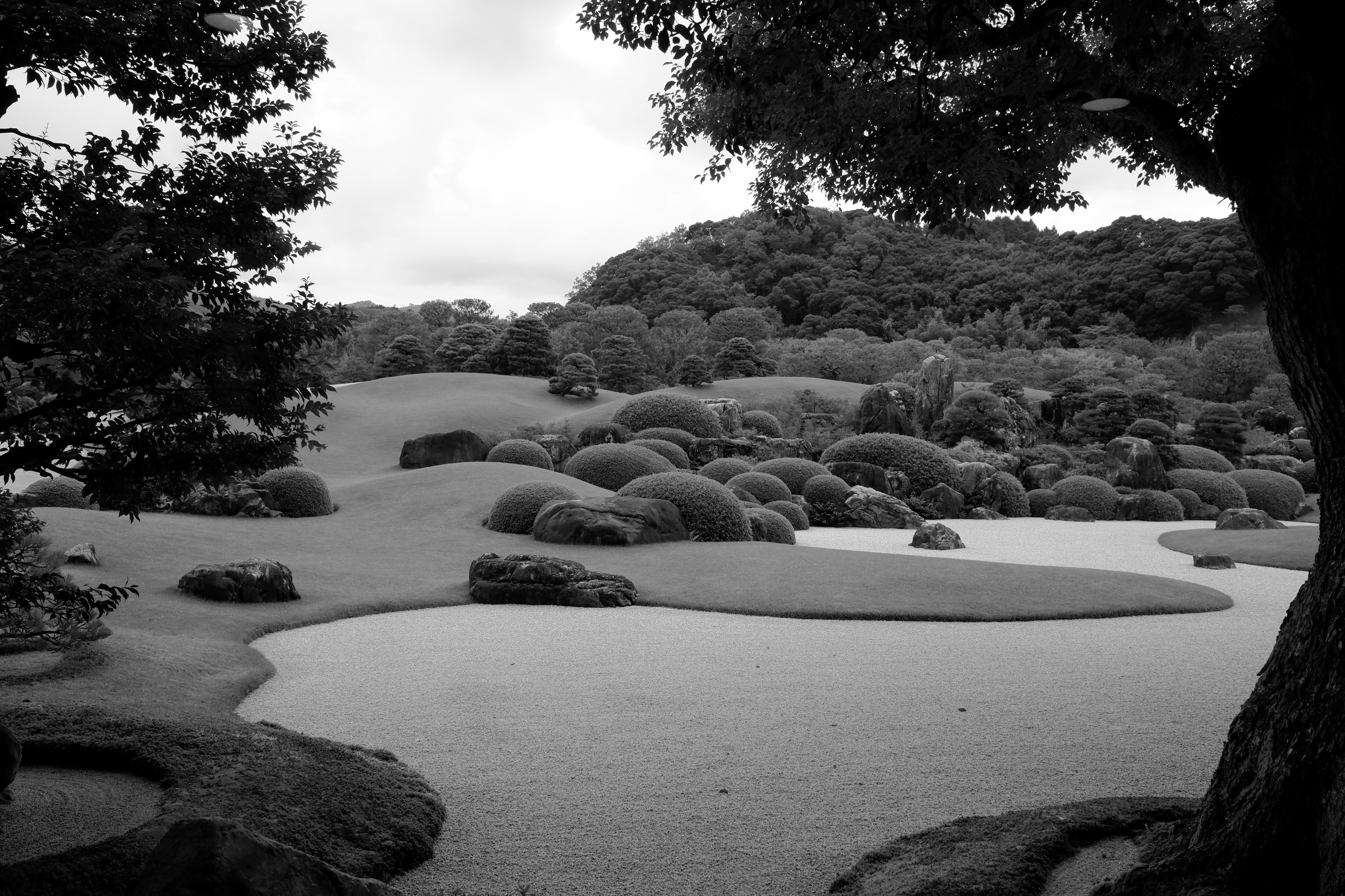 DSCF0611.JPG