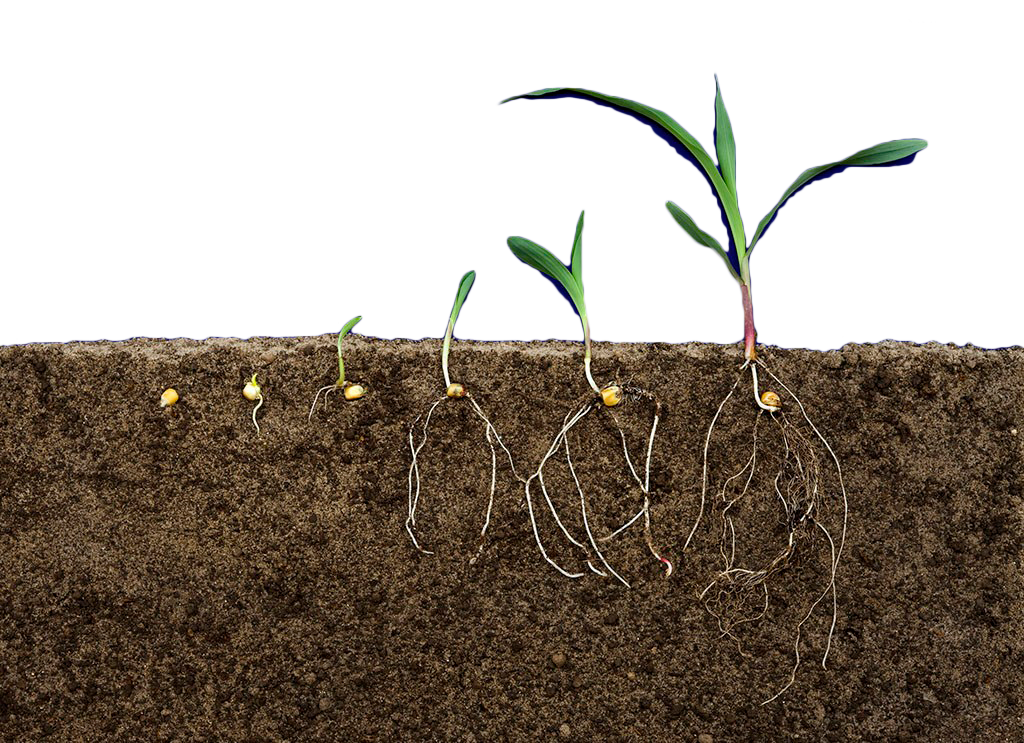preparing-soil.png
