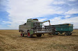 Fendt 6300 C Combine. Estero wheat