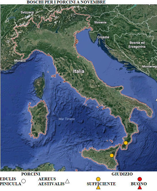 Prevedere l'uscita dei porcini