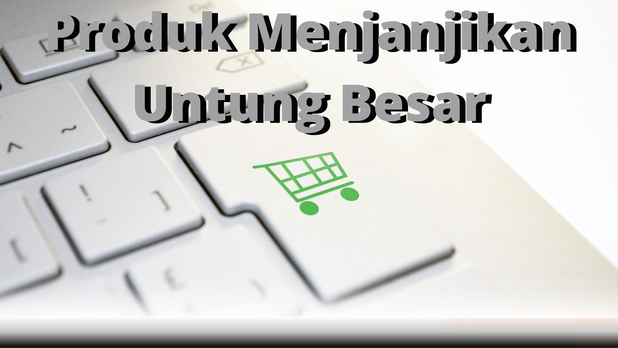 bisnis menjanjikan