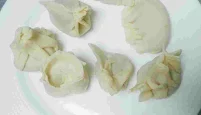 Different shapes chicken momos