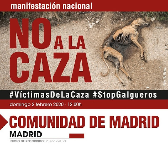 Doble crítica de ‘La caza’ (2020). ¿Nos gusta o no?, ¿y a ti?