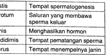 Perhatikan Tabel Bagian Bagian Organ Reproduksi Laki Laki Dan Fungsinya Berikut Pasangan Organ Mas Dayat
