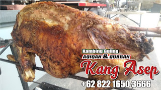 Kambing Guling