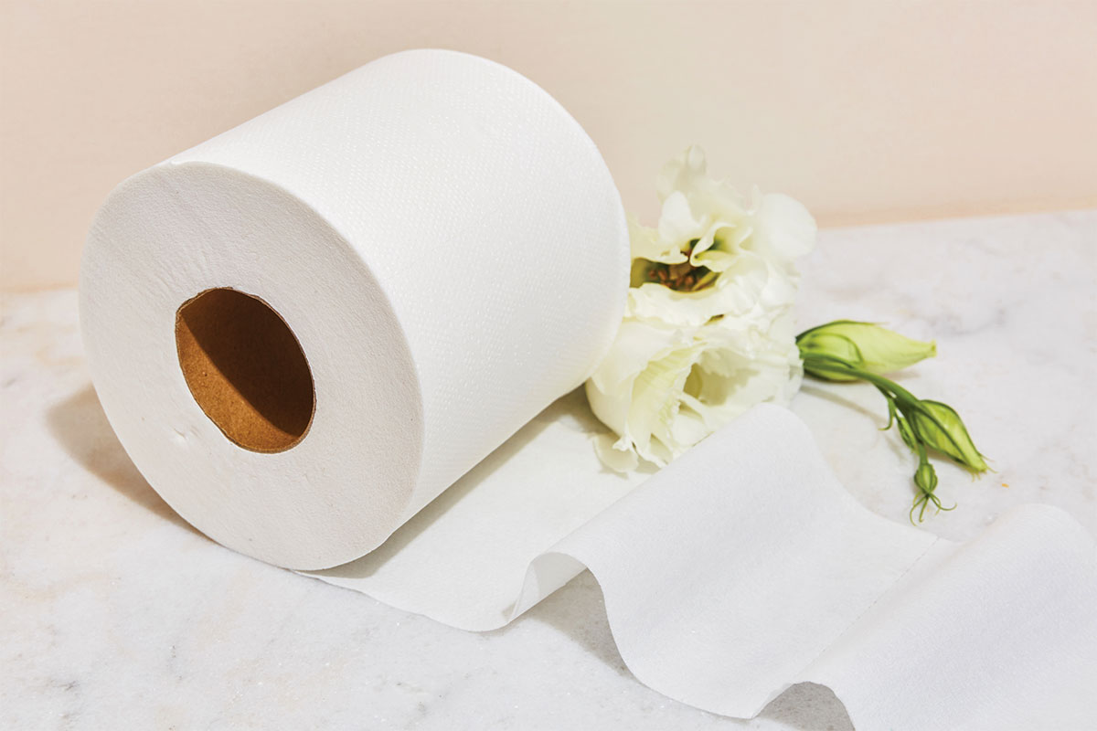 Make the switch to tree free sustainable paper products My WAHM Plan