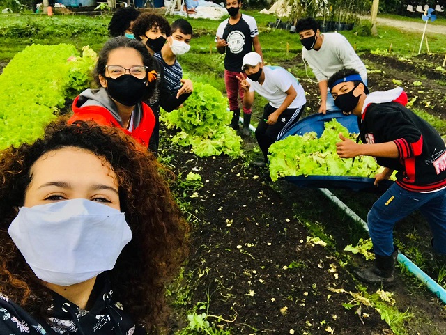 Colheita de verduras na horta educacional contou com os estudantes do Programa Jovem Agricultor do Futuro