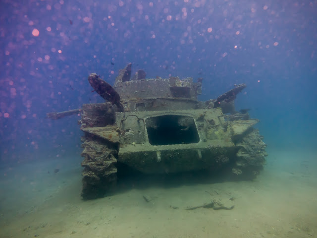 Aqaba Scuba Diving 7