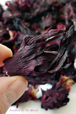 Dried hibiscus flowers for healthy tea