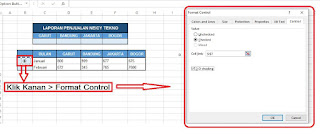 Button Excel