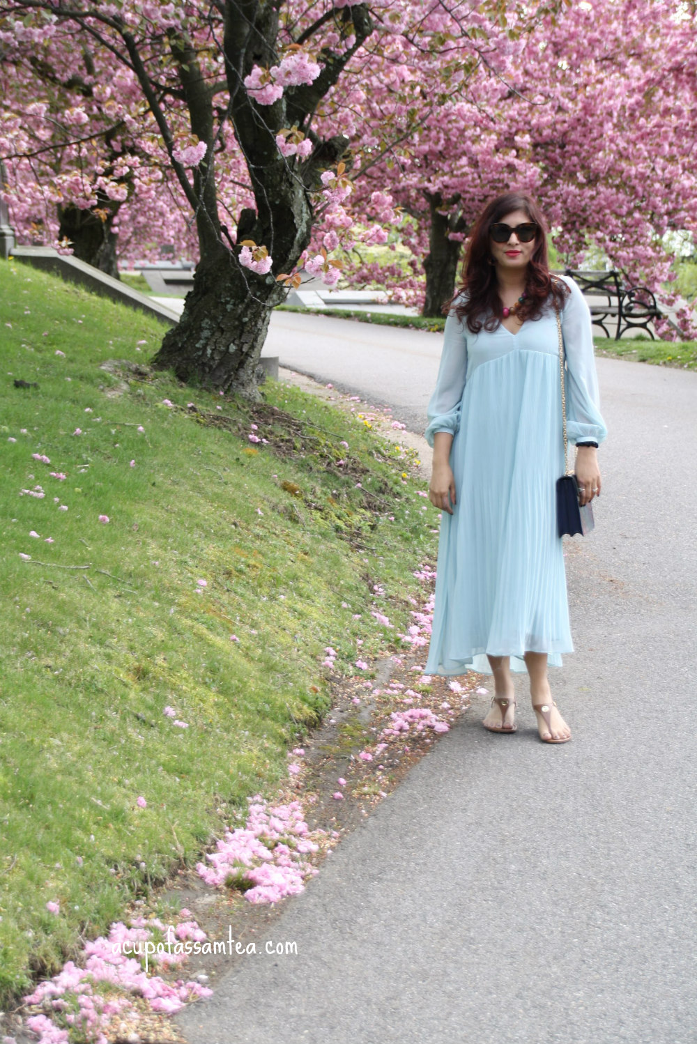 Hidden Gem Greenwood Cemetery for cherry blossom in the NYC