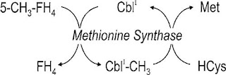 cobalamin as a cofactor