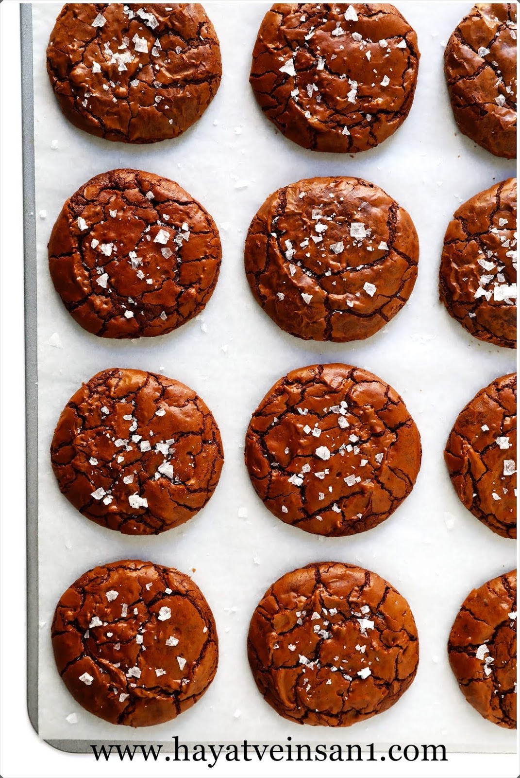 Çikolatalı Browni Kurabiye Tarifi Hayat ve İnsan 1