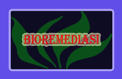 Bioremediasi Jenis-Jenis Bioremediasi Dan Cara Penggunaannya