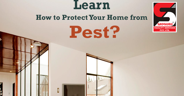 pest control service: Learn How to Protect Your Home from Pests?