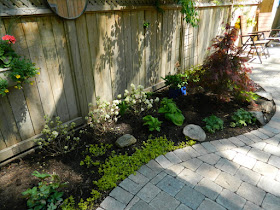 Cabbagetown garden makeover after  Paul Jung Gardening Services Toronto