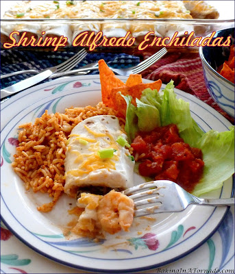 Shrimp Alfredo Enchiladas, spicy, creamy, a family favorite comfort food. | Recipe developed by www.BakingInATornado.com | #reicpe #dinner