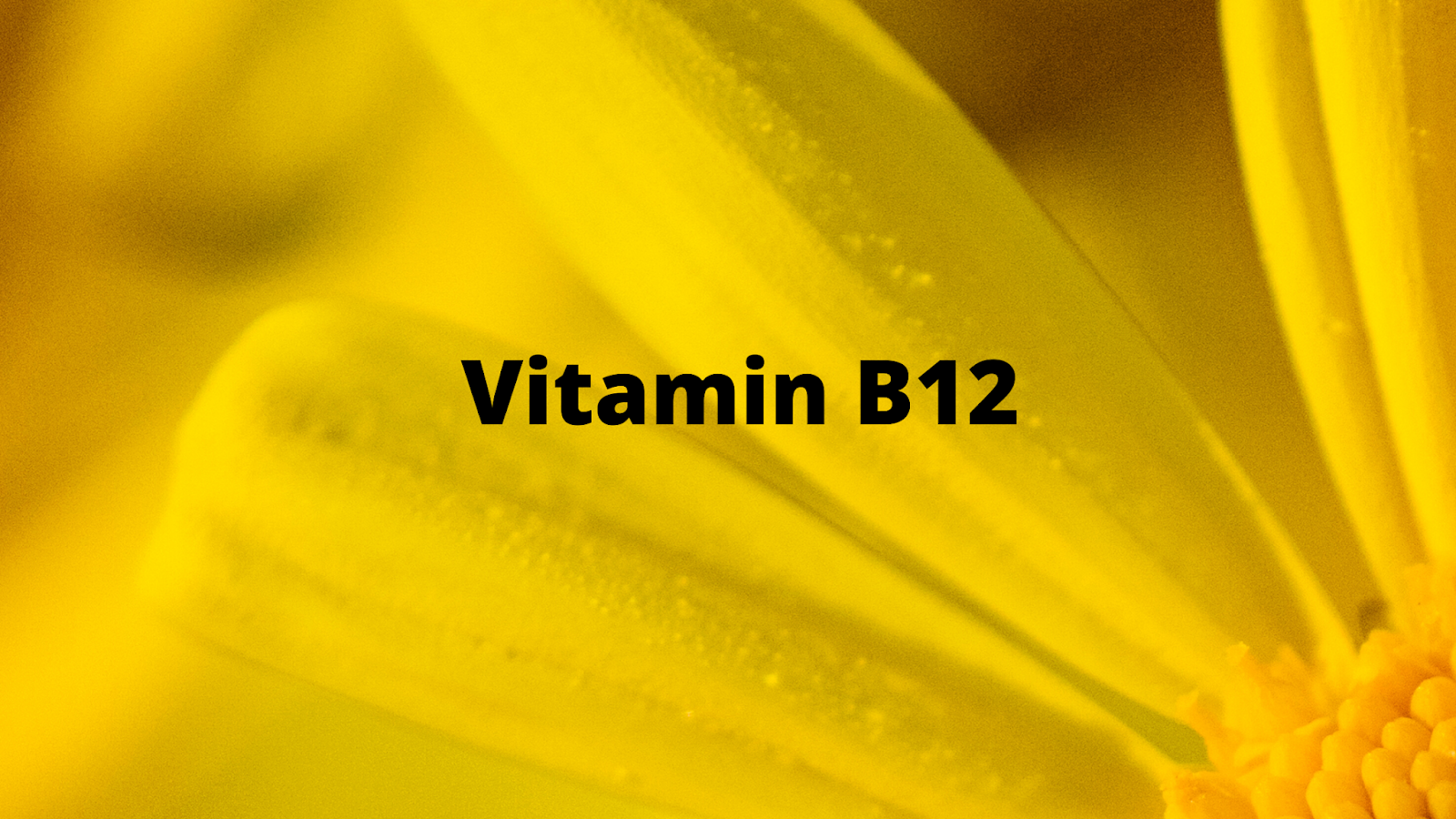B12 Vitamins in our body fact sheet