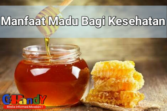 Manfaat Konsumsi Madu untuk Kesehatan dan Imunitas - Blogicakicak