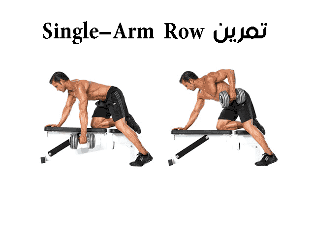 تمارين الظهر بالترتيب بالصور