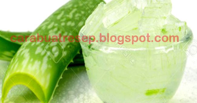 Cara Membuat Manisan Lidah Buaya Kering Basah Nata De Aloe Vera Resep Masakan Indonesia
