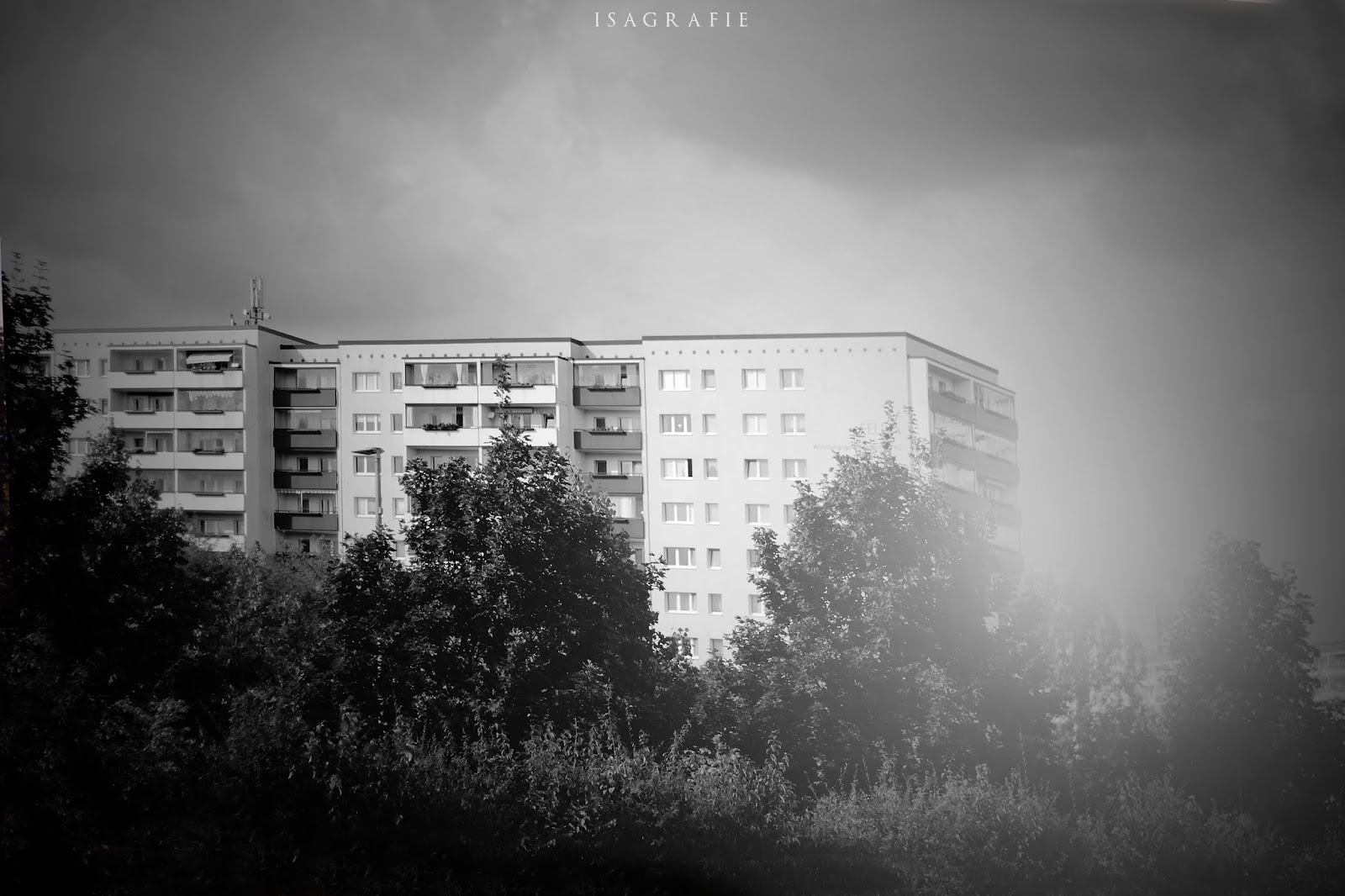 Fish With Whiskey Page 30 An Aussie Scientist Adrift In Berlin