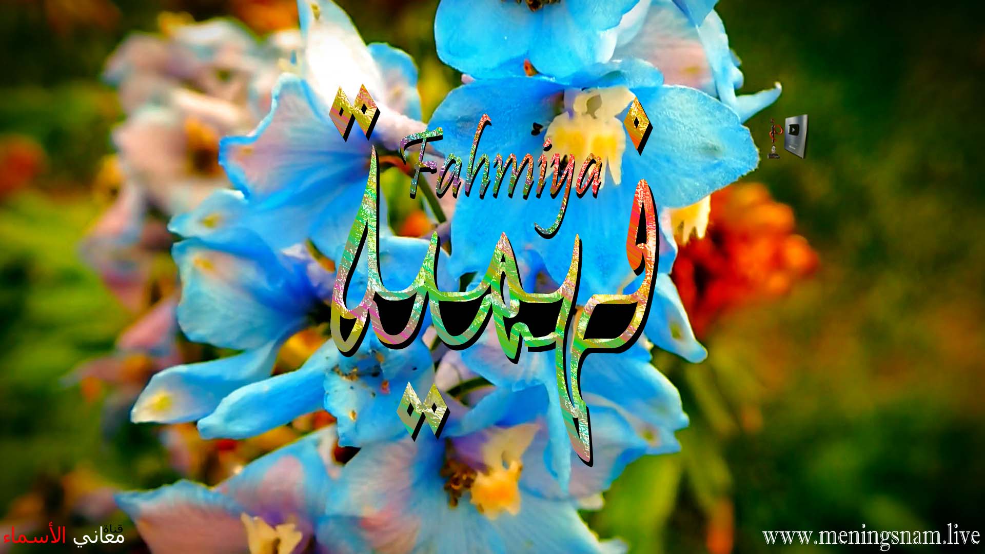 معنى اسم فهمية وصفات حاملة هذا الاسم Fahmiya معنى اسم فهمية وصفات حاملة هذا الاسم Fahmiya