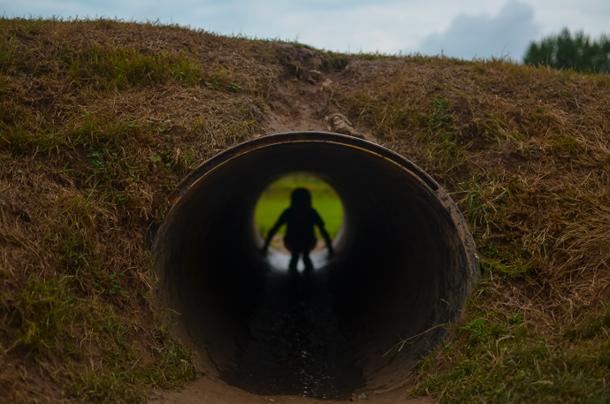 The Bear Trail, family assault course, Cullompton Devon