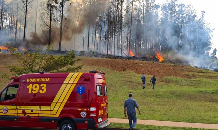 Avião cai e mata sete pessoas em Piracicaba; veja vídeo