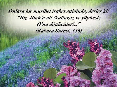 inshallah_x1pN1mp8dKYgTGCnyhAvVxueLWCexELvHprstzgkBiHlTz57tZoW-WEPW5k314dtuLFNoXQt5NgU5S1Ne7FLMUnQ2EeKdqjYlvjwra-BHFTt7U.jpg