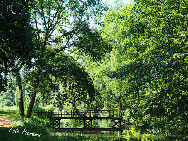 Nijmegen - Stadspark Staddijk, "Bruggetje in het groen"