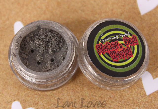 Notoriously Morbid Authority Problem Eyeshadow Swatches & Review