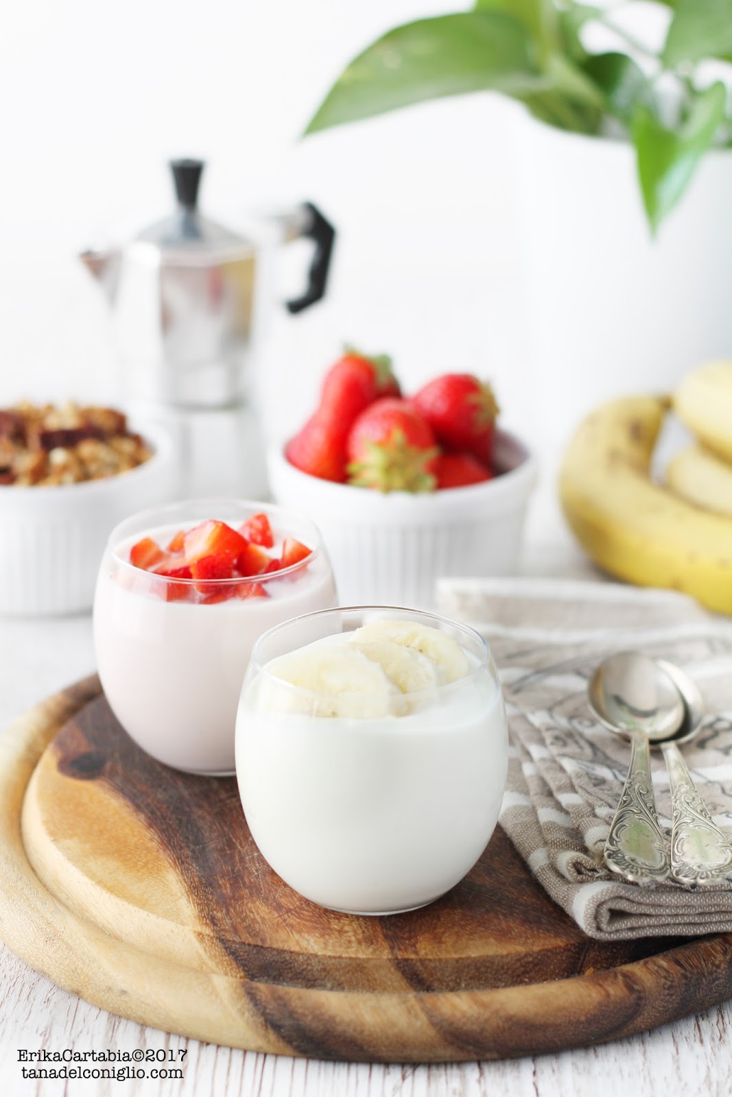 Yogurt alla frutta fatto in casa