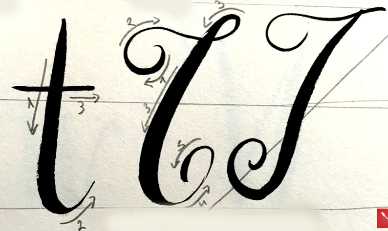 Arte Per Te Corso Di Calligrafia Moderna O Brush Lettering Capitolo 1 Alfabeto In Corsivo